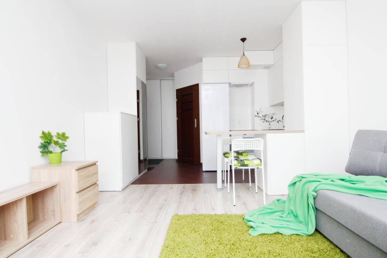 Blue River - Klimasa - taras - private Apartment Breslavia Exterior foto